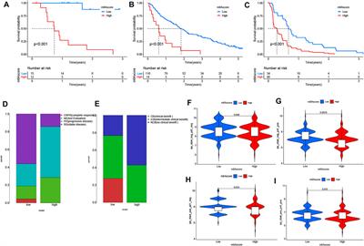 Identification of New m6A Methylation Modification Patterns and Tumor Microenvironment Infiltration Landscape that Predict Clinical Outcomes for Papillary Renal Cell Carcinoma Patients